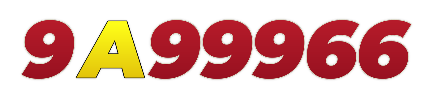9a9966
